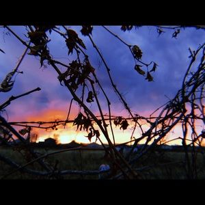 Meet your Posher, Charles